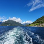 Photo taken by Prem P