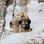 With not a care in the world. | Photo taken by Jonathan G