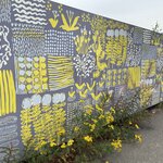 Photo taken by Becky L