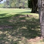 Photo taken by Mike C