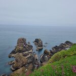 Photo taken by Alicia T