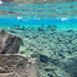 Photo taken by Deborah M