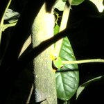 Photo taken by Ceinwen P