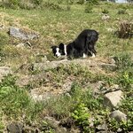 Photo taken by Jodi P