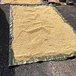 Drying rice | Photo taken by Joost S