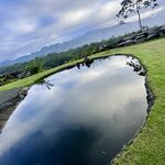 Photo taken by Kim C