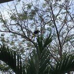 Photo taken by JULIE M