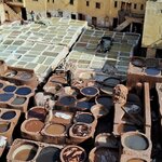 Photo taken by Kuruvilla J