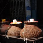 Photo taken by Peter J