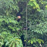 Photo taken by Claudio B