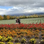 Photo taken by Chris O