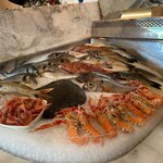 Photo taken by Steve T