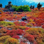 Photo taken by Katherine A