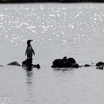 Photo taken by mindy n