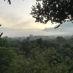 Photo taken by Segal A