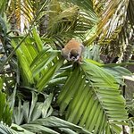 Photo taken by Hannah S