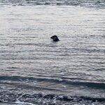 Photo taken by Stephanie O