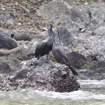 Photo taken by Graeme W