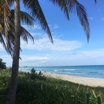 Photo taken by Stefanie M