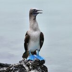 Photo taken by Debby D