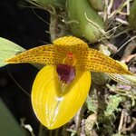 Photo taken by Edit M