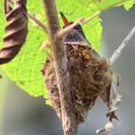 Photo taken by Mary D