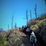 Photo taken by Daisy B