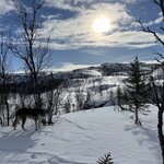 Photo taken by Sharon S