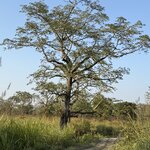 Photo taken by Meenakshi B