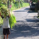 Photo taken by Laurence S