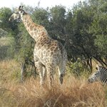 Photo taken by Linette B