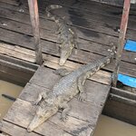 Photo taken by Jacqui O