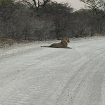 Photo taken by Nigel R