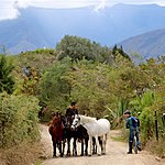 Photo taken by Linda M