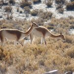 Photo taken by Jenny P