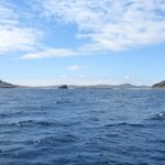 Photo taken by Patricia D