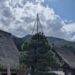 Photo taken by Joy W