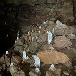 Photo taken by Cyd T