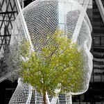 Photo taken by Leonique Q