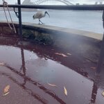 Photo taken by Julie H