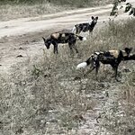 Photo taken by rhonda c