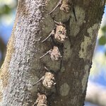 Photo taken by Cathy T