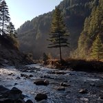 Photo taken by Amy S