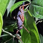 Photo taken by Peter F