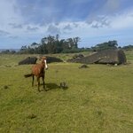 Photo taken by Courtney W