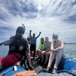 Photo taken by Lisa P