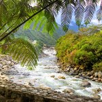 Photo taken by Jon P