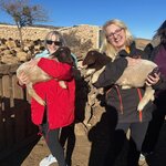 Photo taken by Betty A