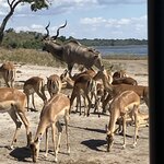 Photo taken by rhonda c