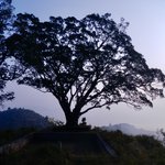 Photo taken by Greg C